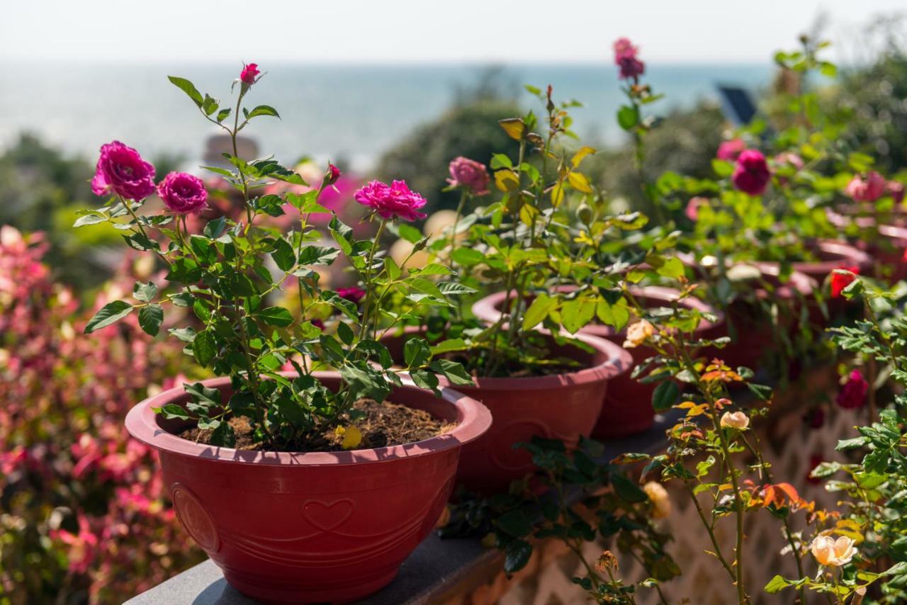 Veranda Beach Place Hotel Phan Thiết Eksteriør billede